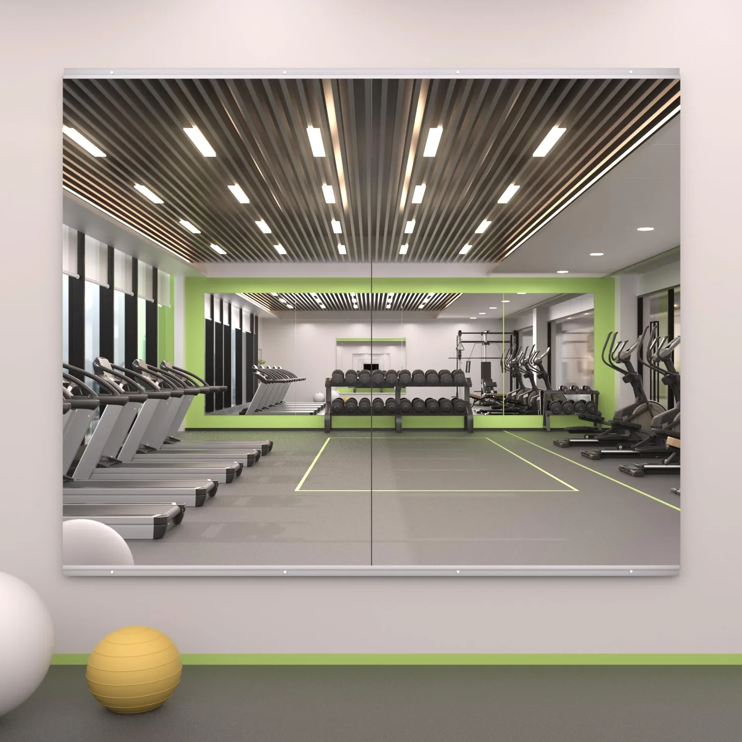 LOAAO Home Gym Mirror 48"x24", 2 PCS